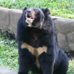 Cuc Phuong National Park and Bear Sanctuary Full Day Tour - Who This Tour Is Best For