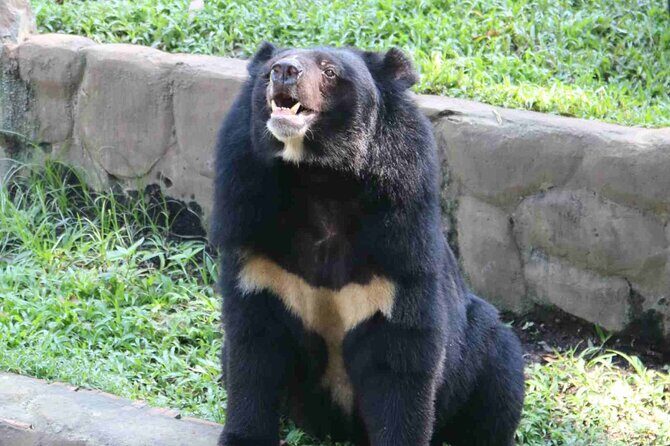 Cuc Phuong National Park and Bear Sanctuary Full Day Tour - Who This Tour Is Best For