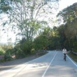 Cultural Riverside Cycling - Why This Tour Offers Real Value