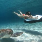 Curaçao Seabob in Playa Piskado Adventure with Sea Turtles - The Practicalities: What to Expect