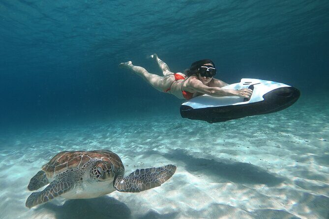 Curaçao Seabob in Playa Piskado Adventure with Sea Turtles - The Practicalities: What to Expect