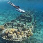 Curaçao Seabob Tugboat Adventure (Andymaxadventures Curaçao) - The Sum Up: Is the Curaçao Seabob Tugboat Adventure Worth It?