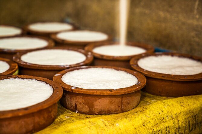 Curd Processing Experience from Tissamaharama - What Travelers Will Love