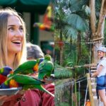 Currumbin Wildlife Sanctuary Pass + The Treetop Challenge - The Treetop Challenge Adventure Park: A Heart-Racing Treetop Experience