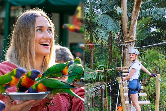 Currumbin Wildlife Sanctuary Pass + The Treetop Challenge - The Treetop Challenge Adventure Park: A Heart-Racing Treetop Experience