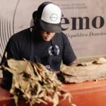 Custom Blend Cigar Experience in Puerto Plata - Why This Tour Offers Good Value