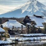Custom Guided Day Tour to Mt. Fuji with English-Speaking Driver - The Experience and Value