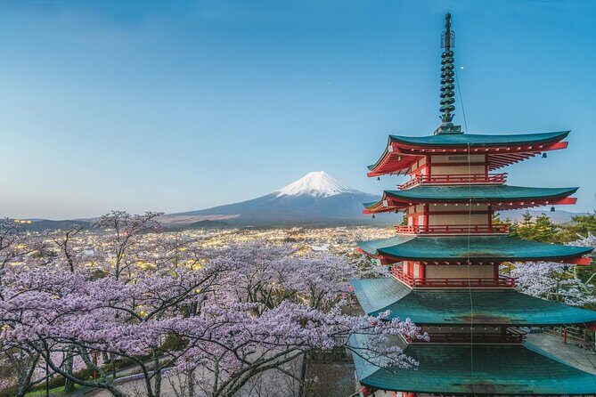 Custom Guided Day Tour to Mt. Fuji with English-Speaking Driver - Who Will Love This Tour?