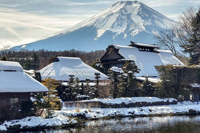 Custom Guided Day Tour to Mt. Fuji with English-Speaking Driver - The Experience and Value