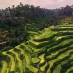 Custom Private Ubud Tour with Flexible Options & Tickets - Visiting Bali’s Most Scenic Waterfalls