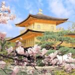 Customizable Private Day Tour by Car in Kyoto City - FAQ