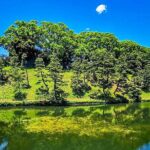 Customized 11 Days Japan and South Korea Adventure - Why This Tour Works Well