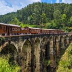 Customized Multi-Day Private Tour Packages in Sri Lanka - A Detailed Breakdown of the 6-Day Itinerary