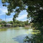 Customized Osaka Private Tour with Local Guide - In-Depth Breakdown of the Experience