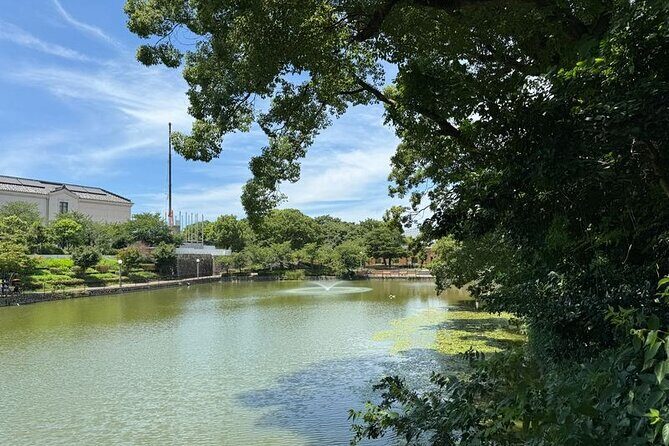 Customized Osaka Private Tour with Local Guide - In-Depth Breakdown of the Experience