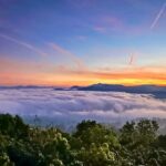 Da Lat Adventure: Cloud Hunting Experience from 4 AM to 10 AM - What Travelers Can Expect