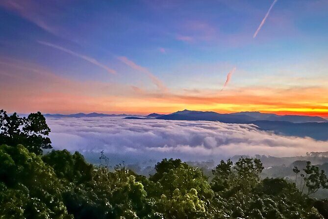 Da Lat Adventure: Cloud Hunting Experience from 4 AM to 10 AM - What Travelers Can Expect