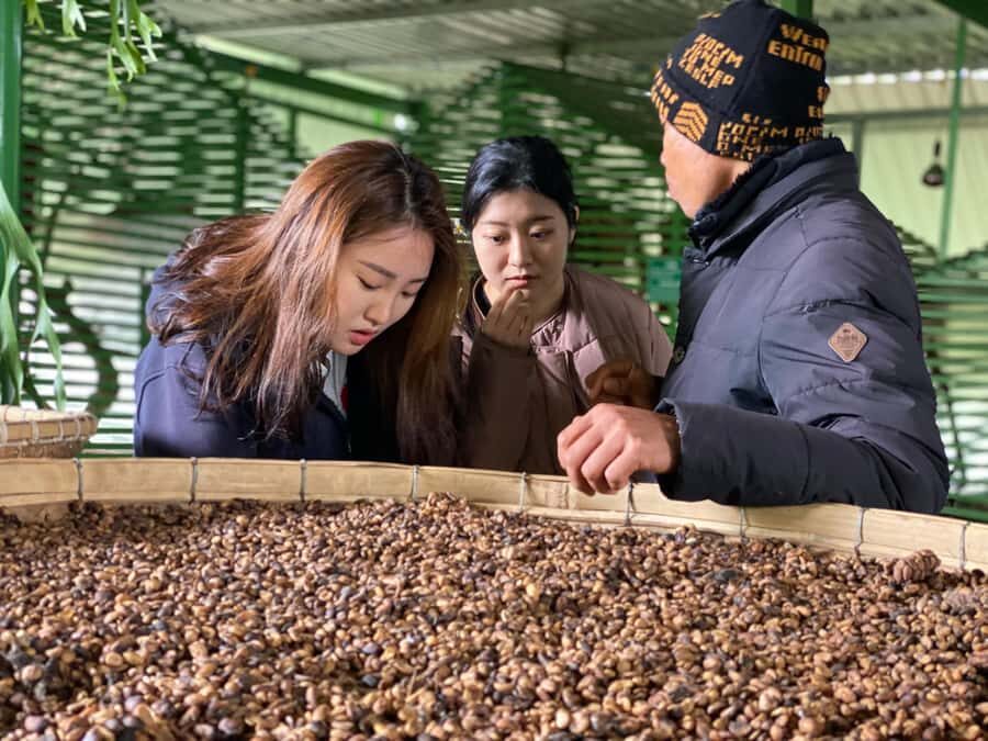 Da Lat: Countryside Tour with Mario-Kart Ride and Mongo Land - An In-Depth Look at the Da Lat Countryside Tour