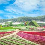 Da Lat : Explore Elephant Falls,Silk Village and Countryside - Final Thoughts