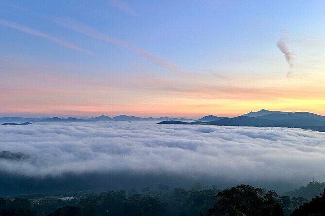 Da Lat Sunrise Cloud Hunting A Magical Early Morning Experience - Authentic Experiences and Tips