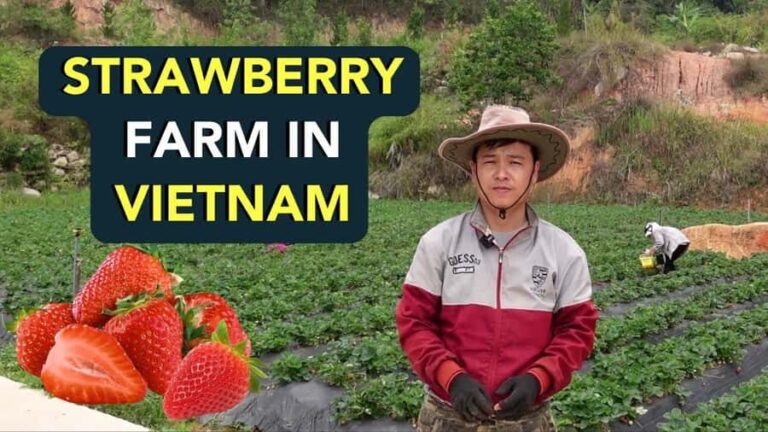 Da Lat: Sunrise Photography & Scenic Morning Tour - What Makes This Tour Special?