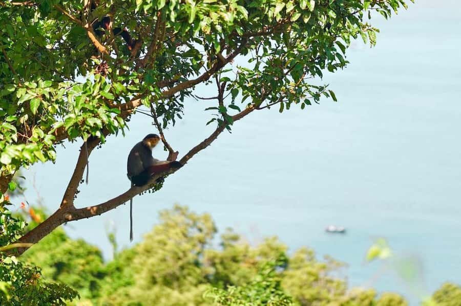 Da Nang: Golden Bridge, Lady Buddha,Marble Mt & Am Phu Cave - What to Expect from the Tour