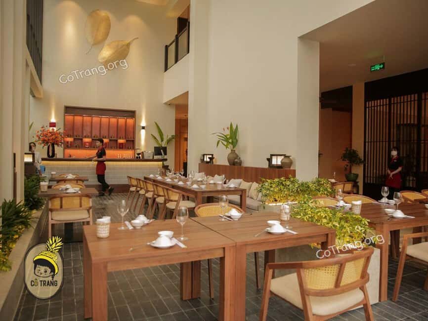 Da Nang l Michelin-Inspired Vietnamese Meal at Madame Lân - Who Should Consider This Tour?