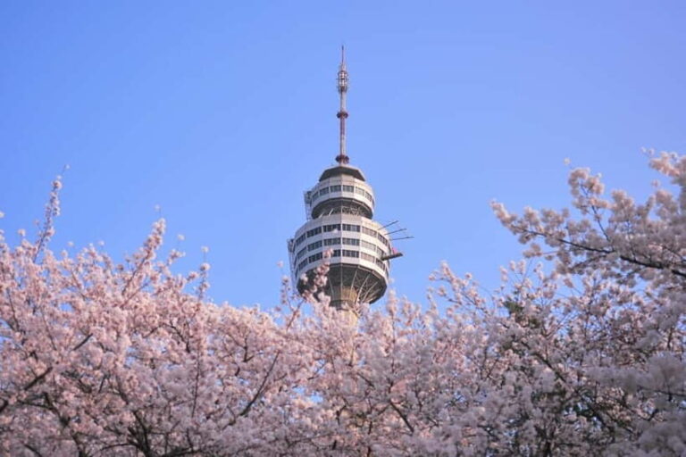 Daegu: Private Taxi Tour Car Charter - The Experience on the Ground