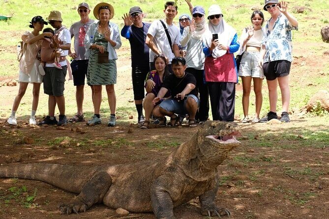Daily Open Trip Komodo by Speedboat - The Practicalities