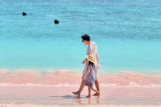 Daily Open Trip Komodo by Speedboat - What’s Included and What’s Not