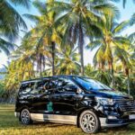 Daintree Eco Lodge to Cairns ONE WAY Private Transfer 6 pax - Practical Tips for Travelers