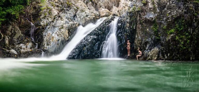 Daintree Rainforest: Waterfall Walk, Swim & Crocodile Cruise - The Value of This Tour  