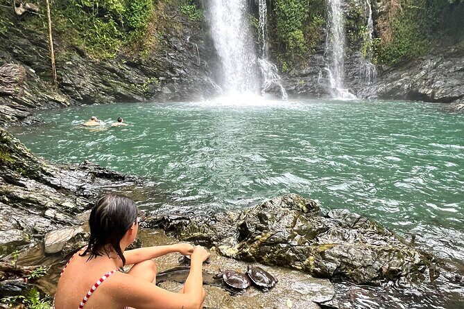 Daintree Waters Tour - Why This Tour Offers Great Value