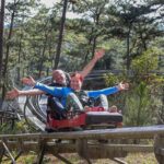 Dalat Half-Day Adventure: Morning & Afternoon Options - Attractions Breakdown