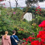 Dalat: Mario kart - Mongo Land - Countryside Tour - Who Will Love This Tour?