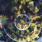 Dali: Cangshan Botanical Garden Ticket (Adult) - What to Expect During Your Visit