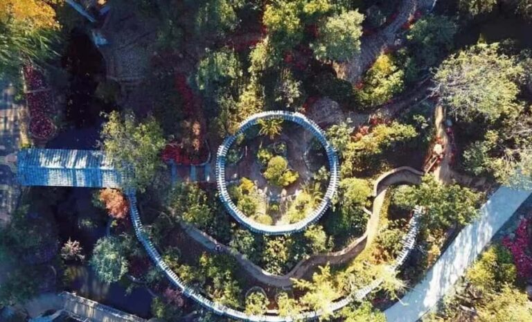 Dali: Cangshan Botanical Garden Ticket (Adult) - What to Expect During Your Visit