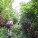 Damajagua: 27 Waterfalls Tour with Entrance Fee & Lunch - Who Will Love This Tour?