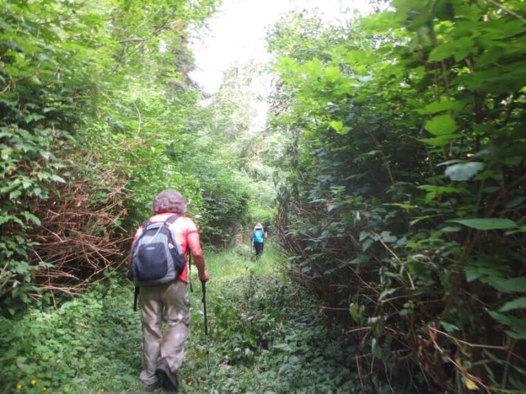 Damajagua: 27 Waterfalls Tour with Entrance Fee & Lunch - Who Will Love This Tour?