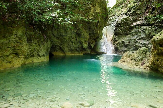 Damajagua 7 Waterfalls Adventure with Traditional Dominican Lunch - Scenic Jungle Trails and Natural Pools