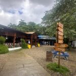 Damajagua 7 Waterfalls Including Local Food - Why This Tour Works Well