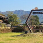 Damyang Bamboo Forest Tour (Private) - What the Tour Includes and Practical Considerations