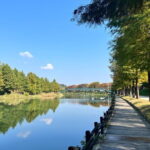 Damyang Bamboo Forest Tour (Private) - The Sum Up