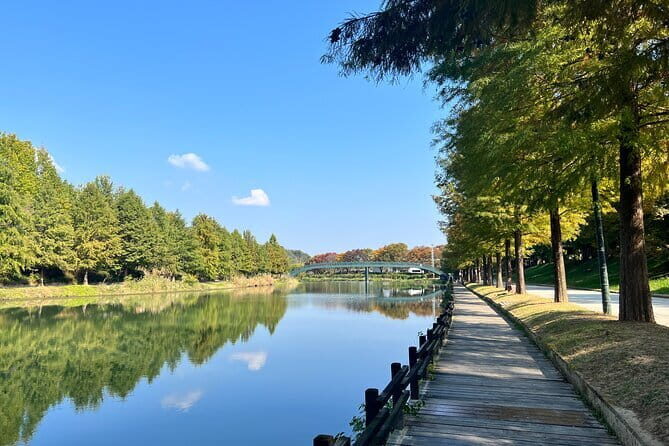 Damyang Bamboo Forest Tour (Private) - The Sum Up