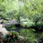 Dandenong Ranges Private Day Tour - Who Is This Tour Best Suited For?