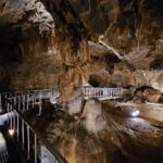 Danyang Family 2 Days 1 Night City Tour - Practical Details and Value