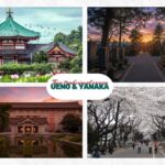 Dark Traditional Tour|The Origin: Mythology and Samurai. Ueno+Yanaka - Exploring the Itinerary in Detail