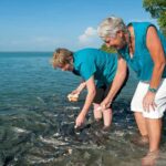 Darwin: Aquascene Fish Feeding Experience - Detailed Breakdown of the Experience