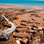 Darwin: Big Bus Open-Top Hop-on Hop-off Tour - Final Thoughts