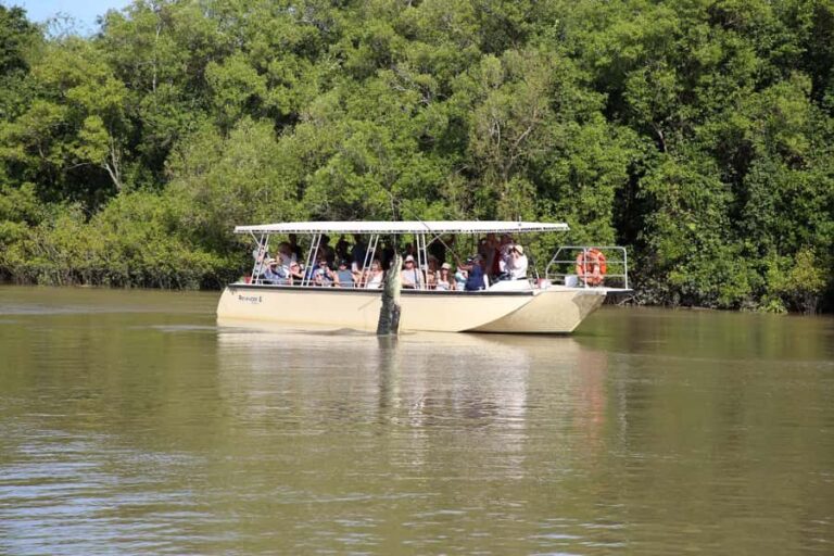 Darwin: Pathfinder Original Jumping Crocodile Cruise - Who Will Love This Experience?